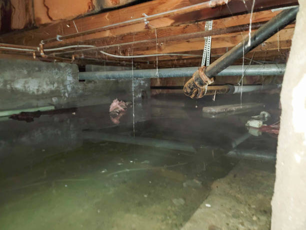 Water damage restoration experts in Flemington, NJ