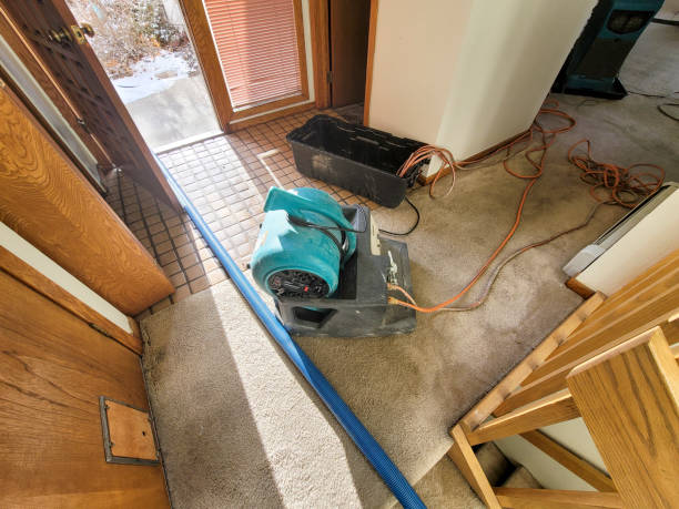 Best Water damage contractors near me  in Flemington, NJ