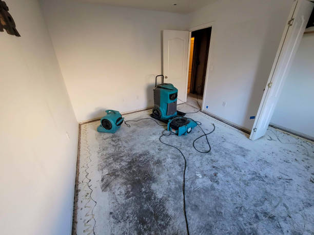 Best Water damage restoration process  in Flemington, NJ