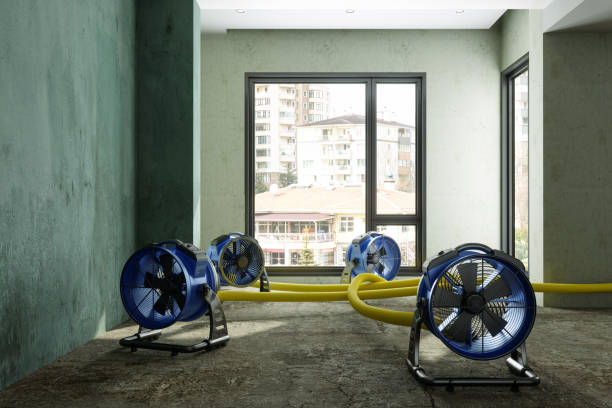 Best Water damage restoration near me  in Flemington, NJ